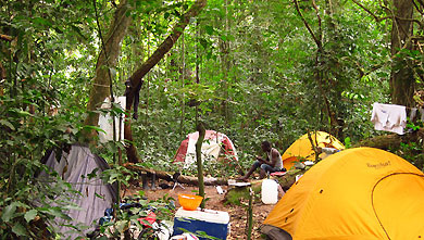 Camp dans la forêt tropicale du Gabon